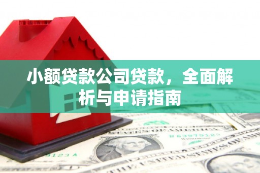 岳阳小额贷款公司贷款，全面解析与申请指南