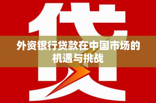 岳阳外资银行贷款在中国市场的机遇与挑战