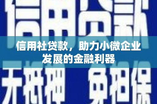 岳阳信用社贷款，助力小微企业发展的金融利器