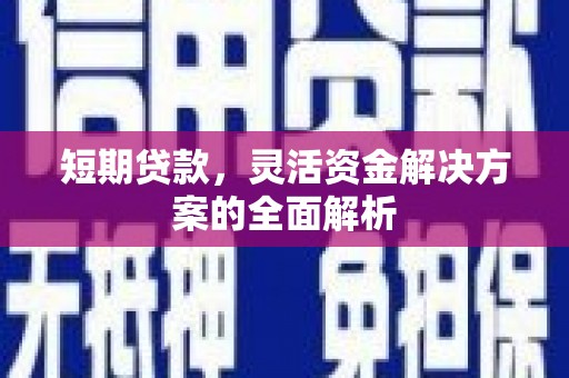 岳阳短期贷款，灵活资金解决方案的全面解析