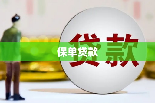 岳阳保单贷款