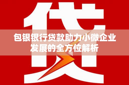 岳阳包银银行贷款助力小微企业发展的全方位解析