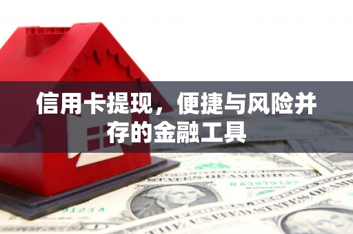 岳阳信用卡提现，便捷与风险并存的金融工具