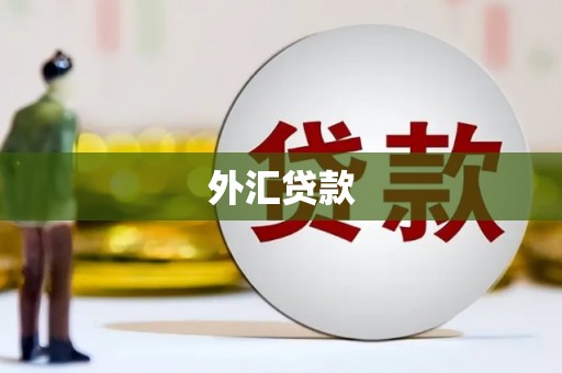 岳阳外汇贷款