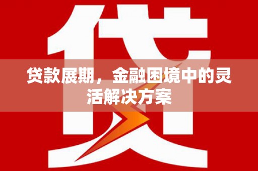 岳阳贷款展期，金融困境中的灵活解决方案