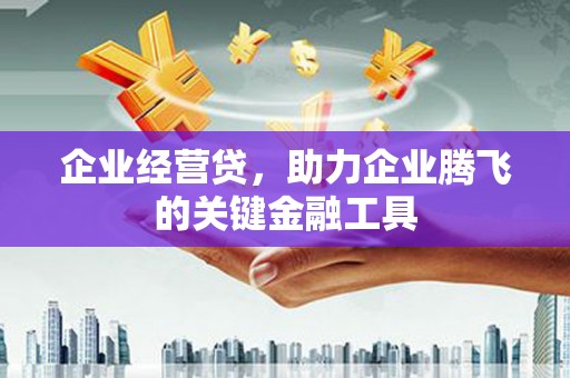 岳阳企业经营贷，助力企业腾飞的关键金融工具