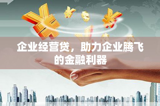 岳阳企业经营贷，助力企业腾飞的金融利器