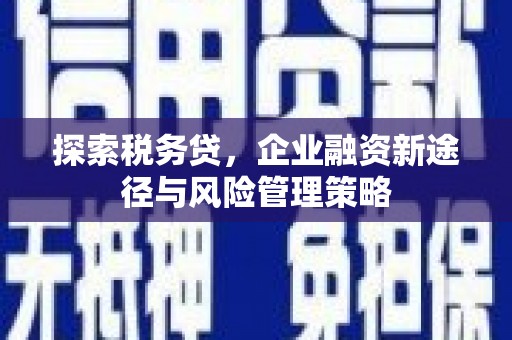 岳阳探索税务贷，企业融资新途径与风险管理策略