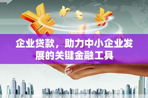 岳阳企业贷款，助力中小企业发展的关键金融工具