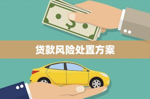 岳阳贷款风险处置方案