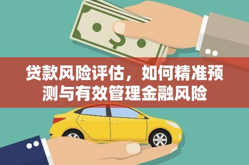 岳阳贷款风险评估，如何精准预测与有效管理金融风险