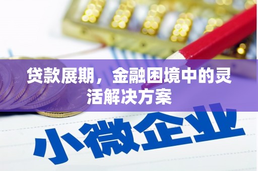 岳阳贷款展期，金融困境中的灵活解决方案