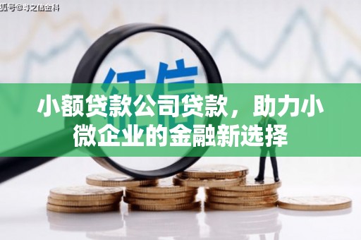 岳阳小额贷款公司贷款，助力小微企业的金融新选择