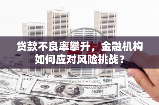 岳阳贷款不良率攀升，金融机构如何应对风险挑战？