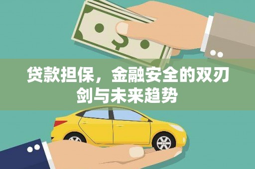 岳阳贷款担保，金融安全的双刃剑与未来趋势