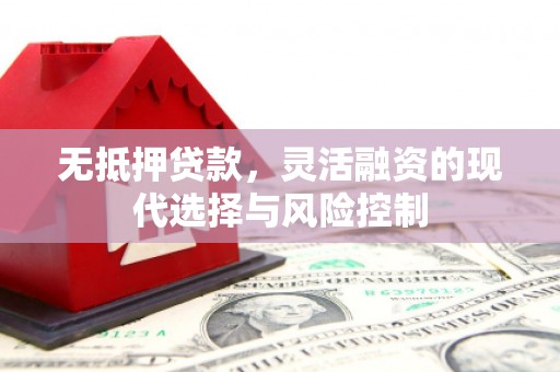 岳阳无抵押贷款，灵活融资的现代选择与风险控制