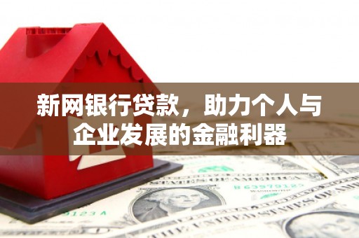 岳阳新网银行贷款，助力个人与企业发展的金融利器