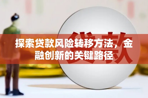 岳阳探索贷款风险转移方法，金融创新的关键路径