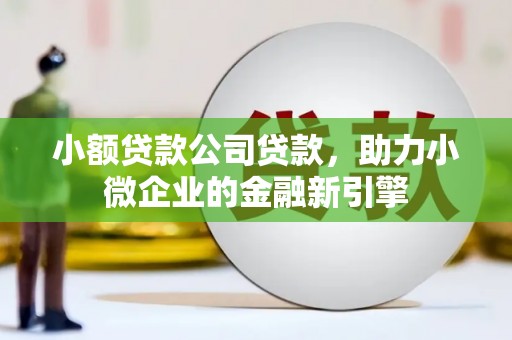 岳阳小额贷款公司贷款，助力小微企业的金融新引擎