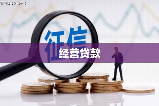 岳阳经营贷款
