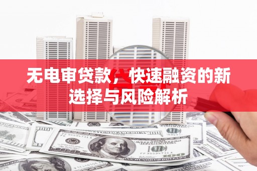 岳阳无电审贷款，快速融资的新选择与风险解析