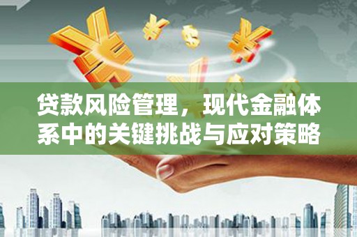 岳阳贷款风险管理，现代金融体系中的关键挑战与应对策略