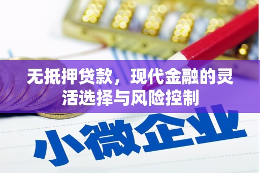 岳阳无抵押贷款，现代金融的灵活选择与风险控制