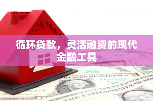 岳阳循环贷款，灵活融资的现代金融工具