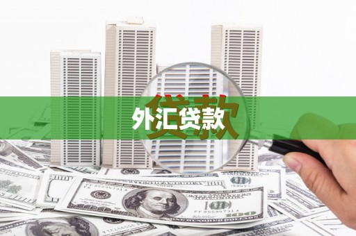 岳阳外汇贷款