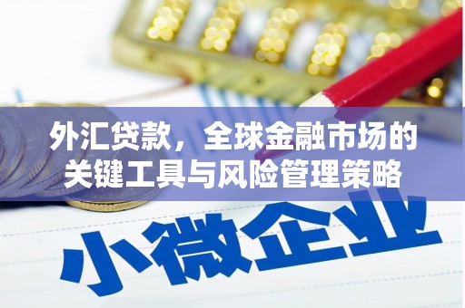 岳阳外汇贷款，全球金融市场的关键工具与风险管理策略