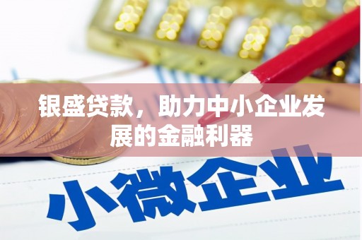 岳阳银盛贷款，助力中小企业发展的金融利器
