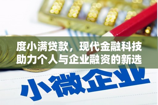 岳阳度小满贷款，现代金融科技助力个人与企业融资的新选择