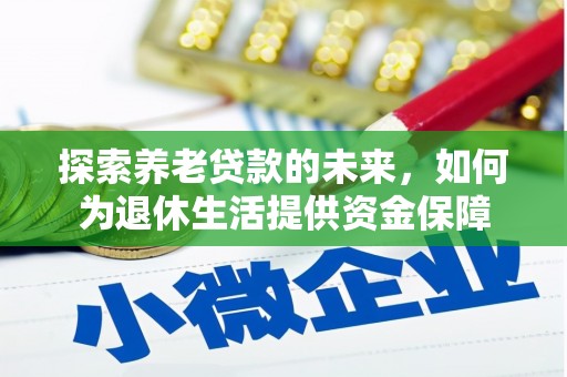 岳阳探索养老贷款的未来，如何为退休生活提供资金保障