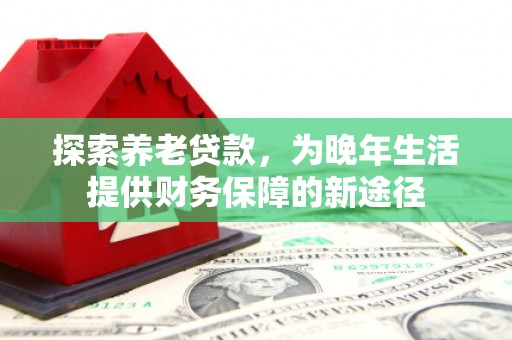 岳阳探索养老贷款，为晚年生活提供财务保障的新途径