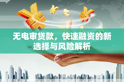 岳阳无电审贷款，快速融资的新选择与风险解析