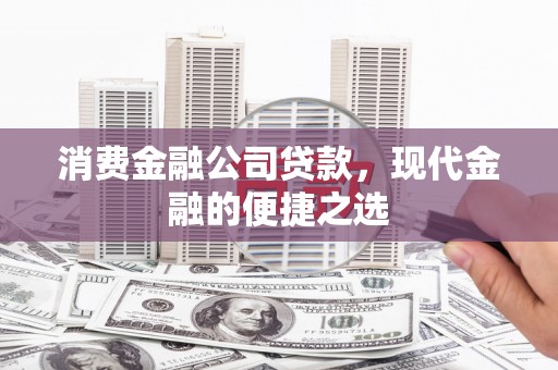 岳阳消费金融公司贷款，现代金融的便捷之选