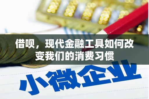 岳阳借呗，现代金融工具如何改变我们的消费习惯
