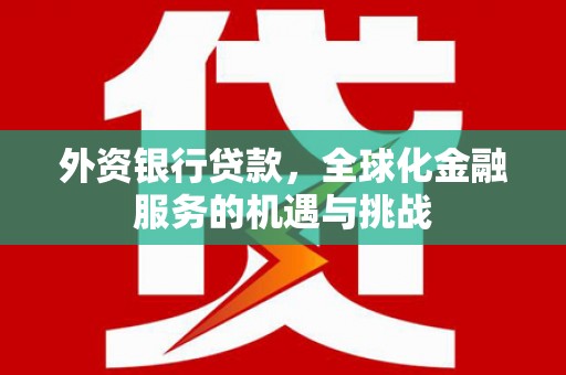 岳阳外资银行贷款，全球化金融服务的机遇与挑战