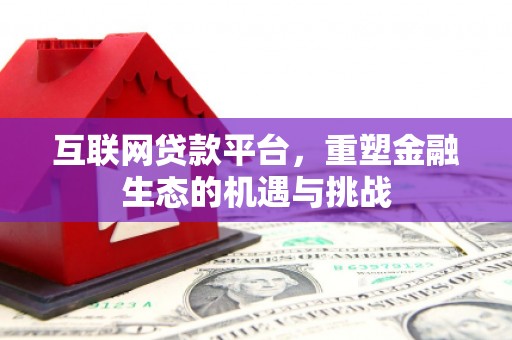 岳阳互联网贷款平台，重塑金融生态的机遇与挑战