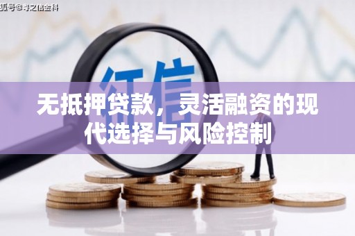 岳阳无抵押贷款，灵活融资的现代选择与风险控制