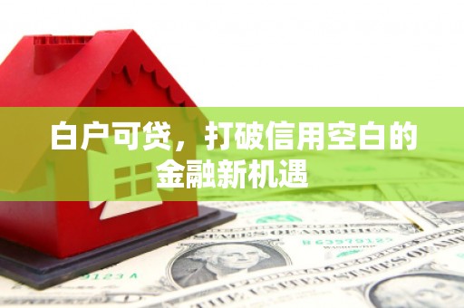 岳阳白户可贷，打破信用空白的金融新机遇
