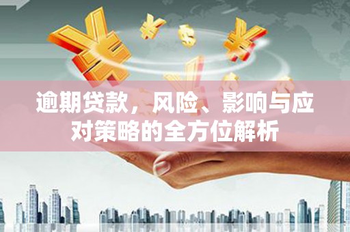 岳阳逾期贷款，风险、影响与应对策略的全方位解析