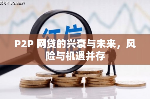 岳阳P2P 网贷的兴衰与未来，风险与机遇并存
