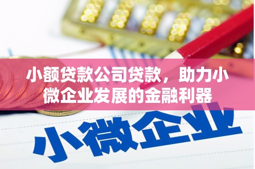 岳阳小额贷款公司贷款，助力小微企业发展的金融利器