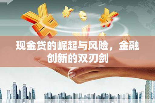 岳阳现金贷的崛起与风险，金融创新的双刃剑
