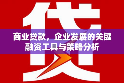 岳阳商业贷款，企业发展的关键融资工具与策略分析