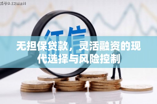 岳阳无担保贷款，灵活融资的现代选择与风险控制