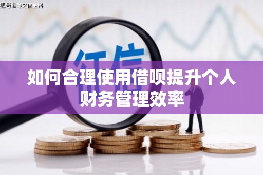 岳阳如何合理使用借呗提升个人财务管理效率