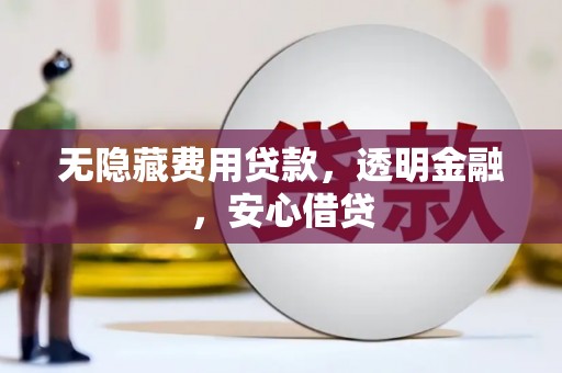 岳阳无隐藏费用贷款，透明金融，安心借贷
