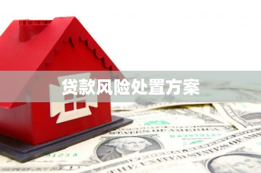 岳阳贷款风险处置方案